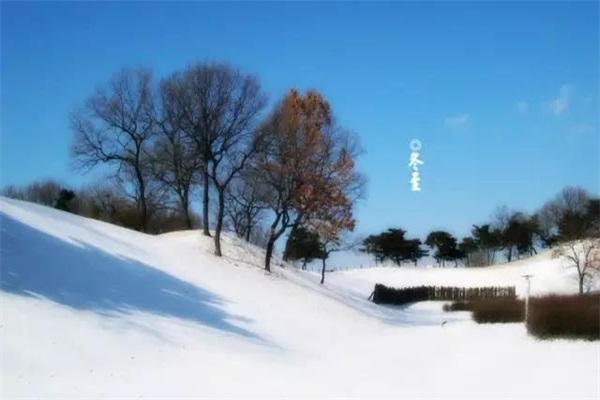 冬至如期而至，你是否如約而至？
