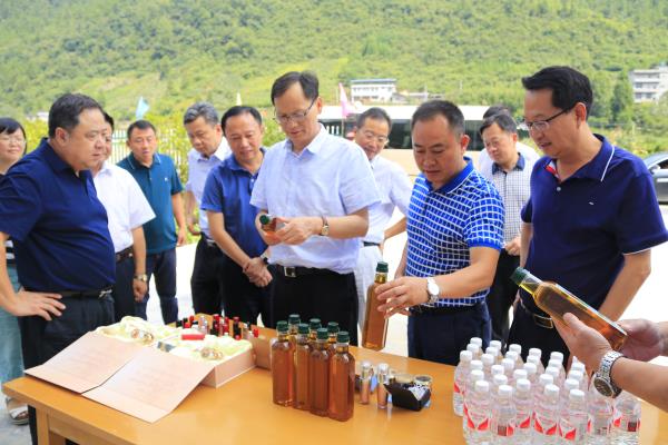 湖北省政協副主席許克振、湖北省林業廳廳長劉新池實地調研山桐子產品.jpg